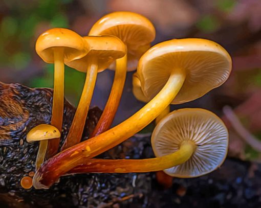 Yellow Mushrooms On Black Tree Branch paint by numbers