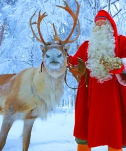 Arctic Reindeer And Noel Paint By Numbers