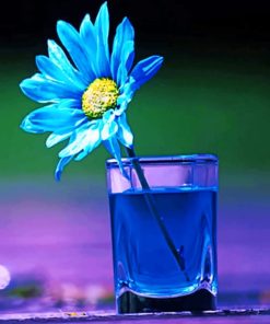 Blue Flower In Glass paint by numbers