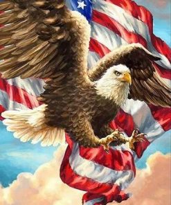 Flag American Eagle paint by numbers