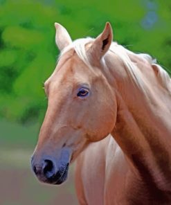 Brown Mare Horse paint by numbers
