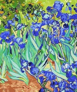 Vincent Van Gogh Irises Paint by numbers