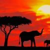 Elephants Silhouette paint by numbers