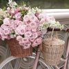 Pink Roses in Bike Paint By Numbers