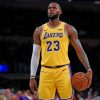 LeBron James Los Angeles Lakers paint by numbers