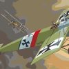 Nazi Airplane paint by numbers