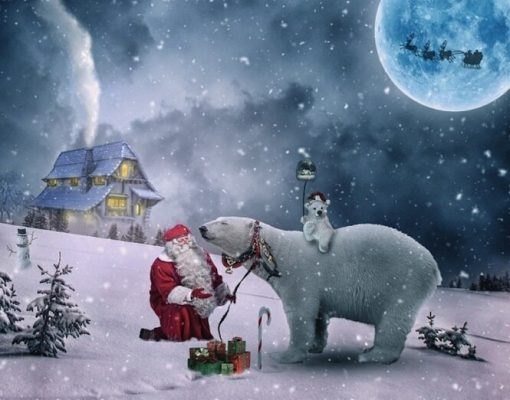 Polar Bears And Santa Claus Paint by numbers