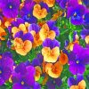 Purple And Yellow Pansies Paint By Numbers