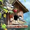 Picture Birds Animals paint by numbers