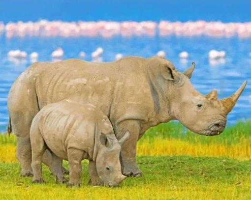 Rhinoceros Paint By Numbers