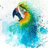 Splashed Parrot paint by numbers