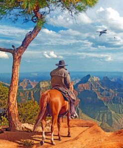 Grand Canyon And Cowboy Paint By Numbers