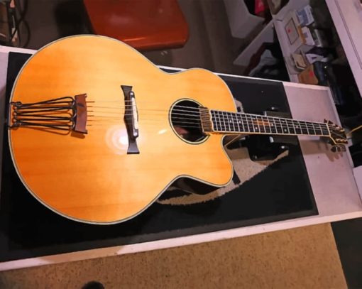 Acoustic Takamine Guitar paint by numbers