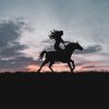 Woman Riding A Horse Silhouette paint by numbers