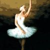 Elegant Ballerina paint by numbers