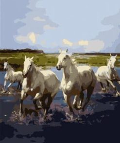 Wild White Horses paint by numbers