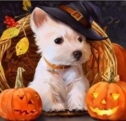 Halloween Dog paint by numbers