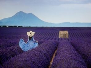 Woman In Lavender Field Paint by numbers