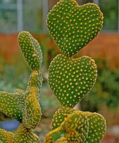 Cactus Heart Shape Paint by numbers