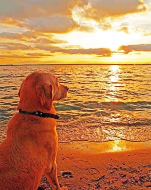 Dog Watching Sunset Paint by numberrs