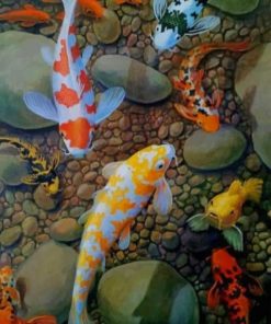 Koi Fish paint by numbers