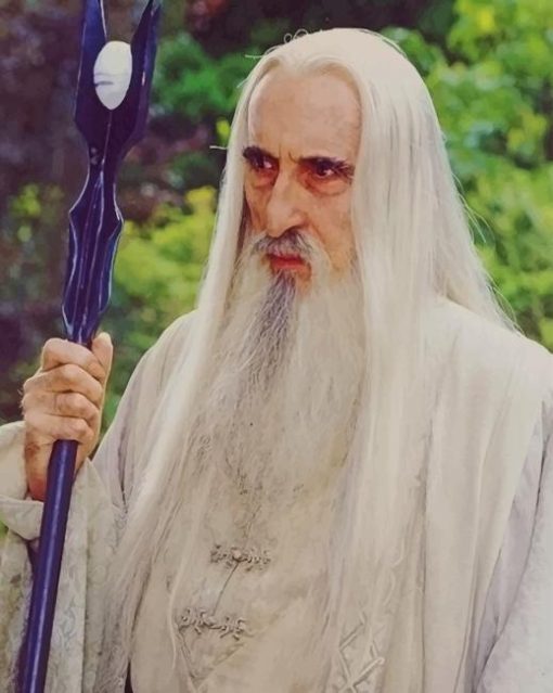 Saruman Character Paint By Numbers - NumPaints - Paint by numbers