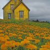 Yellow House Nova Scotia paint by numbers