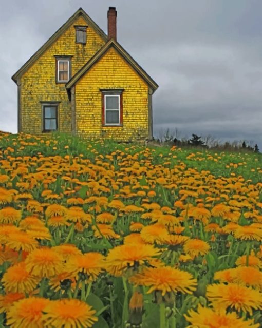 Yellow House Nova Scotia paint by numbers