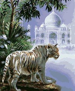 The Indian White Tiger Paint by numbers
