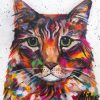 Colorful Tabby Cat Paint by numbers