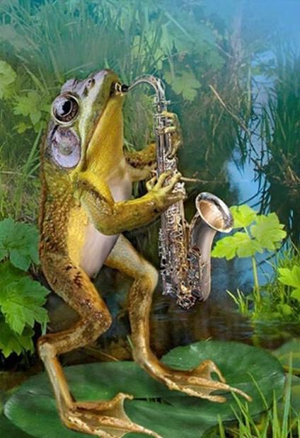 Frog Saxophone Paint by numbers