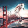 Horse Jumps Overs The Golden Gate Bridge Paint by number
