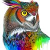 Aesthetic Colorful Owl paint by numbers