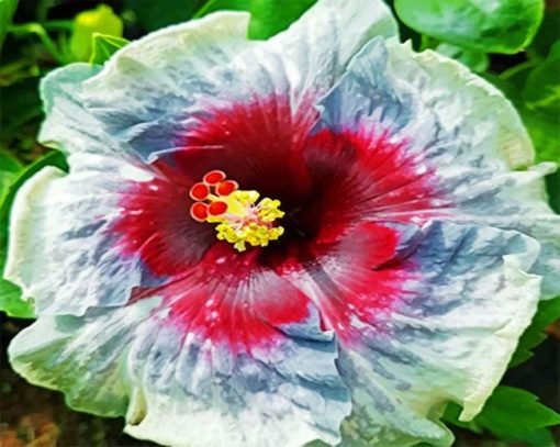 Aesthetic Hibiscus Flower Paint by numbers