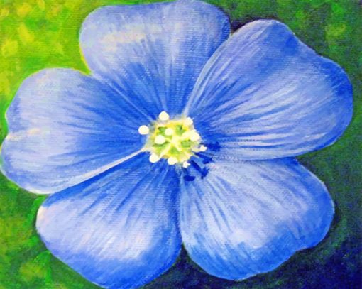 Blue Poppy Flower Paint by numbers