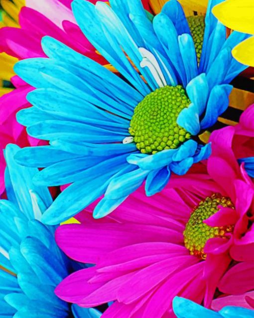 Colorful Daisy Paint by numbers