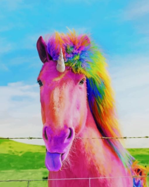 Rainbow Horse Paint by numbers