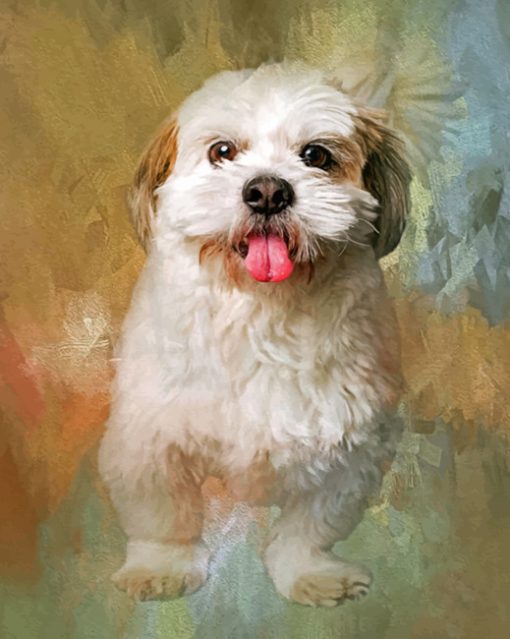 Fluffy Shih Tzu Paint by numbers