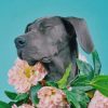 Great Dane With Flowers Crown Paint by numbers