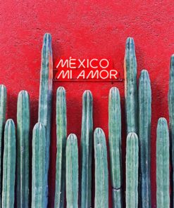Mexico Mi Amor Paint by numbers