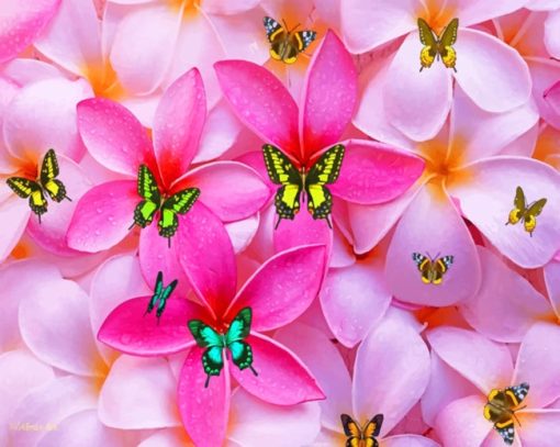 Plumeria Flowers And Butterflies Paint by numbers