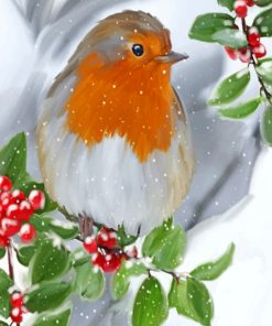 Robin Bird Enjoying The Snow Paint by numbers