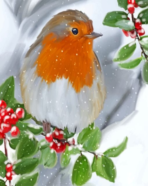 Robin Bird Enjoying The Snow Paint by numbers