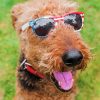Stylish Airedale paint by numbers
