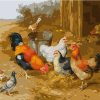 Chickens And Pigeons Paint by numbers