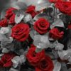 Black And White Red Roses Paint by numbers