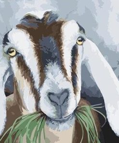 Goats Eating Grass Paint by numbers
