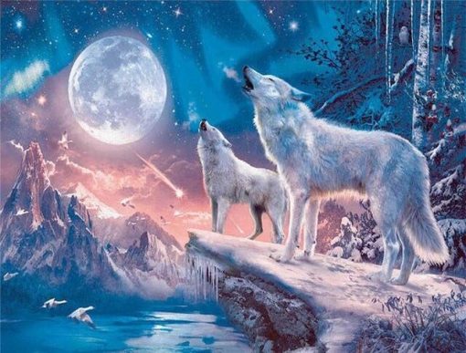 Northern Lights Wolves paint by numbers