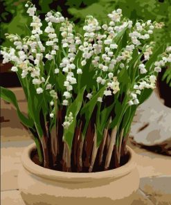 Lily Of the Valley Paint by numbers