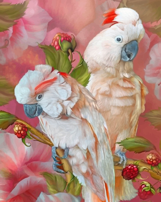 Pink Cockatoo Birds paint by numbers